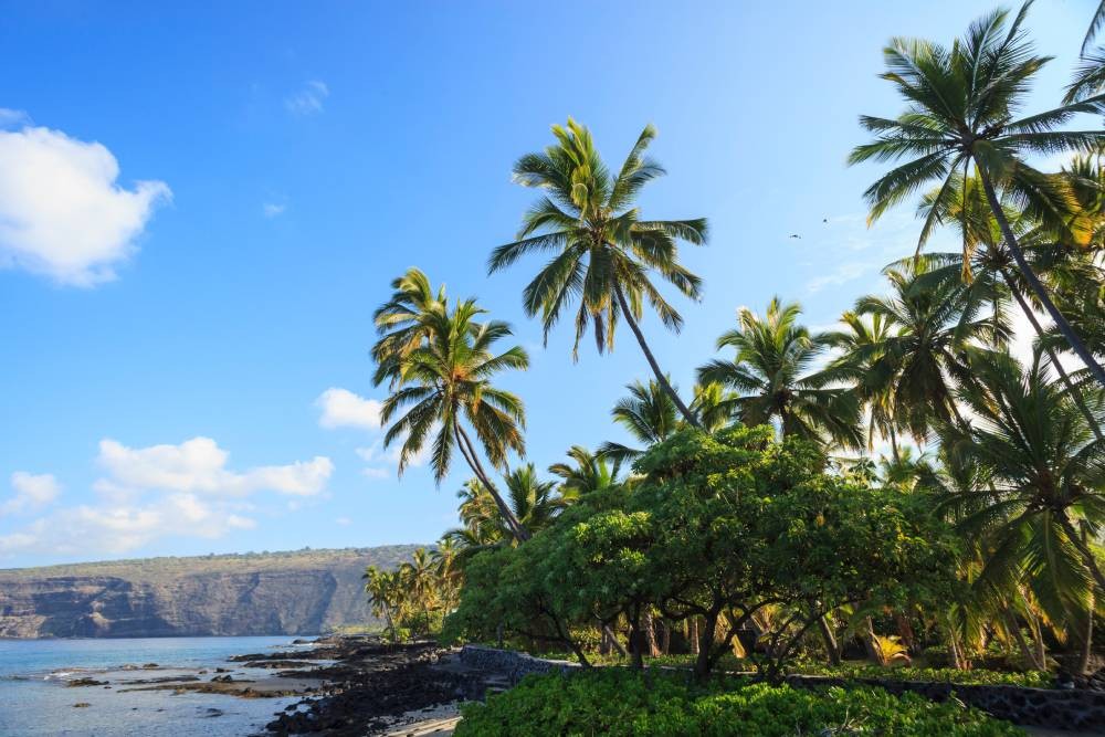 Hunter Douglas Window Treatments, Shutters, blinds, sheers, and shades near Captain Cook, Hawaii (HI)